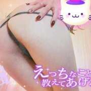 ヒメ日記 2025/11/27 14:50 投稿 楓（かえで） DAHLIA(ダリア)