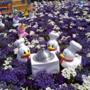 ヒメ日記 2025/04/23 15:30 投稿 ユメ AMOUR（アムール）