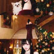 ユメ キラキラ✨ AMOUR（アムール）