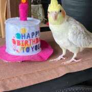 ヒメ日記 2025/05/01 13:28 投稿 ひかる マドンナSANSAIN