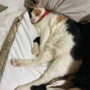 ヒメ日記 2025/05/20 17:58 投稿 ひかる マドンナSANSAIN