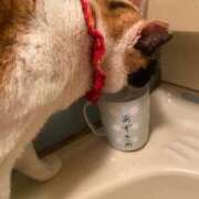 ヒメ日記 2025/05/21 01:38 投稿 ひかる マドンナSANSAIN