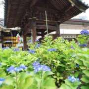 ヒメ日記 2025/06/10 23:58 投稿 ひかる マドンナSANSAIN