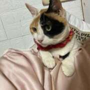 ヒメ日記 2025/06/22 13:58 投稿 ひかる マドンナSANSAIN