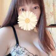 ヒメ日記 2025/06/13 09:58 投稿 高梨さえ 月の真珠-新宿-