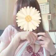 ヒメ日記 2025/07/02 10:49 投稿 高梨さえ 月の真珠-新宿-