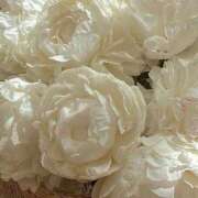 ヒメ日記 2025/01/05 15:22 投稿 麻利菜(マリナ) グランドオペラ名古屋