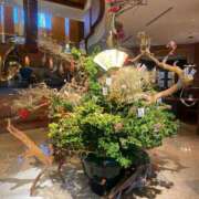 ヒメ日記 2025/01/01 13:32 投稿 柴咲 とわ SUMIRE