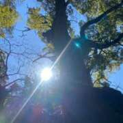 ヒメ日記 2025/03/02 10:30 投稿 柴咲 とわ SUMIRE