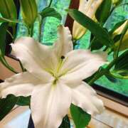 ヒメ日記 2025/05/19 07:40 投稿 柴咲 とわ SUMIRE