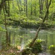 ヒメ日記 2025/05/25 07:21 投稿 柴咲 とわ SUMIRE