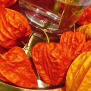 ヒメ日記 2025/07/12 08:51 投稿 柴咲 とわ SUMIRE