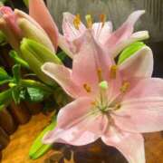 ヒメ日記 2025/08/04 10:24 投稿 柴咲 とわ SUMIRE