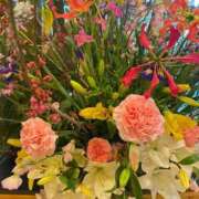 柴咲 とわ 出勤につきまして♡ SUMIRE