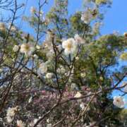 柴咲 とわ 明日まだ空きが御座います♡ SUMIRE