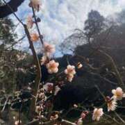 ヒメ日記 2026/02/15 20:15 投稿 柴咲 とわ SUMIRE