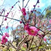 ヒメ日記 2026/02/19 14:49 投稿 柴咲 とわ SUMIRE