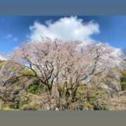 ヒメ日記 2026/04/05 11:34 投稿 柴咲 とわ SUMIRE