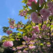 ヒメ日記 2026/04/12 18:34 投稿 柴咲 とわ SUMIRE