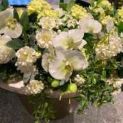 ヒメ日記 2026/04/18 11:11 投稿 柴咲 とわ SUMIRE