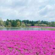 ヒメ日記 2026/04/25 19:29 投稿 柴咲 とわ SUMIRE