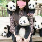 ヒメ日記 2025/11/15 15:48 投稿 優子 モアグループ春日部人妻城