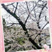 ヒメ日記 2025/04/04 19:23 投稿 飯島 熟女デリヘル倶楽部