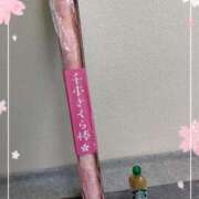 ヒメ日記 2025/04/10 11:55 投稿 飯島 熟女デリヘル倶楽部