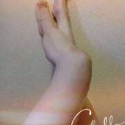 飯島 来年の出勤予定 熟女デリヘル倶楽部