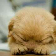 ヒメ日記 2025/04/04 07:15 投稿 レイラ 熟女デリヘル倶楽部