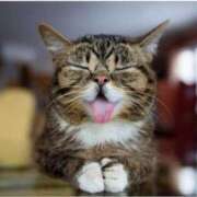 ヒメ日記 2025/04/13 05:15 投稿 レイラ 熟女デリヘル倶楽部