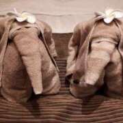 ヒメ日記 2025/05/01 10:23 投稿 レイラ 熟女デリヘル倶楽部