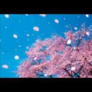 ヒメ日記 2026/04/02 17:57 投稿 レイラ 熟女デリヘル倶楽部