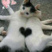 レイラ 今日もありがとうございます 熟女デリヘル倶楽部