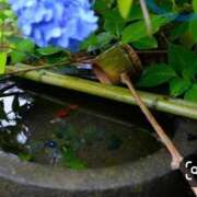 ヒメ日記 2026/06/29 15:49 投稿 レイラ 熟女デリヘル倶楽部