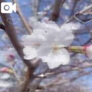 ヒメ日記 2025/04/04 22:21 投稿 いちご 萌えコス