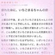 ヒメ日記 2025/05/02 11:45 投稿 いちご 萌えコス