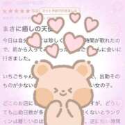 ヒメ日記 2026/07/16 15:14 投稿 いちご 特別授業