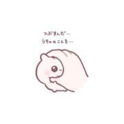 ヒメ日記 2026/07/16 15:55 投稿 いちご 特別授業
