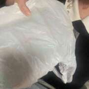 ヒメ日記 2025/04/17 00:35 投稿 あいな ときめき純情ロリ学園～東京乙女組 新宿校