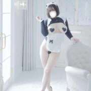 ヒメ日記 2025/02/15 08:55 投稿 くるみ ふわメロ