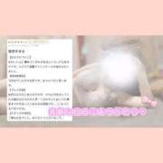 ヒメ日記 2025/03/19 12:06 投稿 くるみ ふわメロ