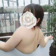 ヒメ日記 2025/04/26 21:35 投稿 くるみ ふわメロ