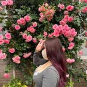 ヒメ日記 2025/07/30 23:55 投稿 くるみ ふわメロ