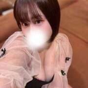 ヒメ日記 2025/08/27 15:45 投稿 くるみ ふわメロ