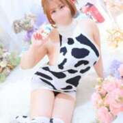 ヒメ日記 2026/03/24 19:48 投稿 くるみ ふわメロ