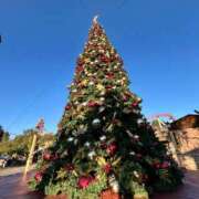 ヒメ日記 2024/12/16 08:48 投稿 萬田 碧 30代40代50代と遊ぶなら博多人妻専科24時