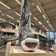 ヒメ日記 2024/12/18 10:32 投稿 萬田 碧 30代40代50代と遊ぶなら博多人妻専科24時