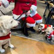 ヒメ日記 2024/12/19 08:07 投稿 萬田 碧 30代40代50代と遊ぶなら博多人妻専科24時