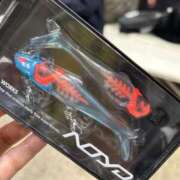 ヒメ日記 2025/01/20 08:22 投稿 萬田 碧 30代40代50代と遊ぶなら博多人妻専科24時